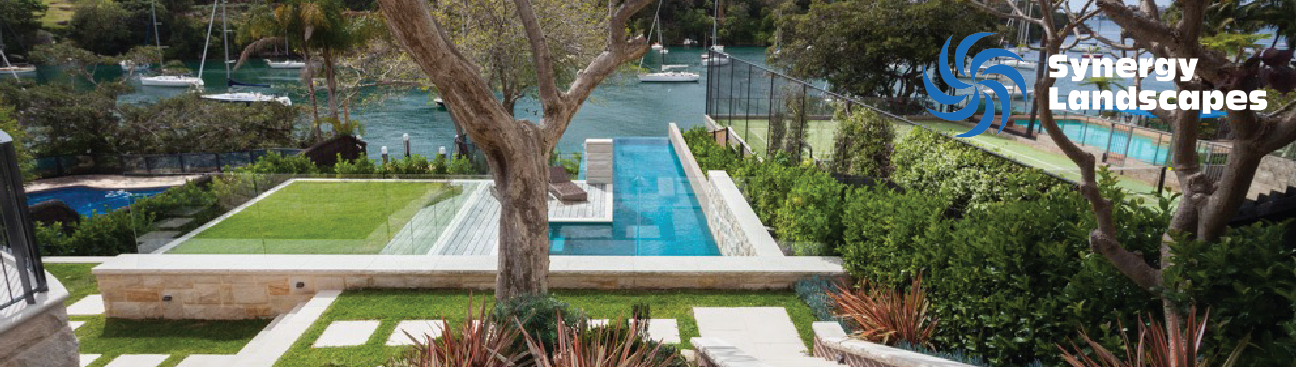 Synergy Landscapes